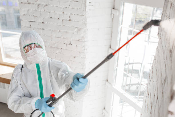 Holland, OH Mold Inspection, Removal & Remediation Company