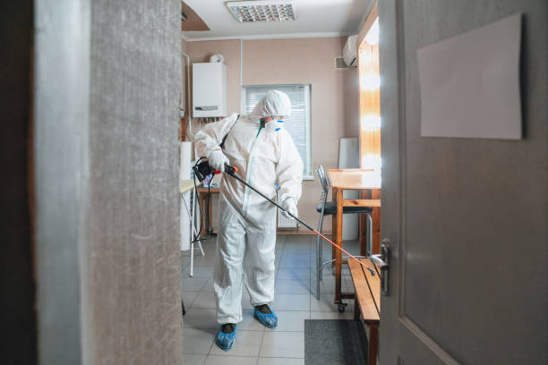 Best Commercial Mold Inspection  in Holland, OH