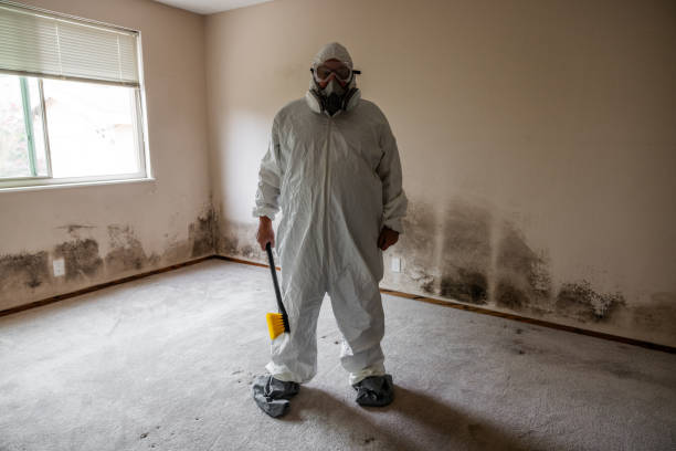 Best Biohazard Mold Removal  in Holland, OH